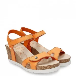 Julia^Panama Jack Shop