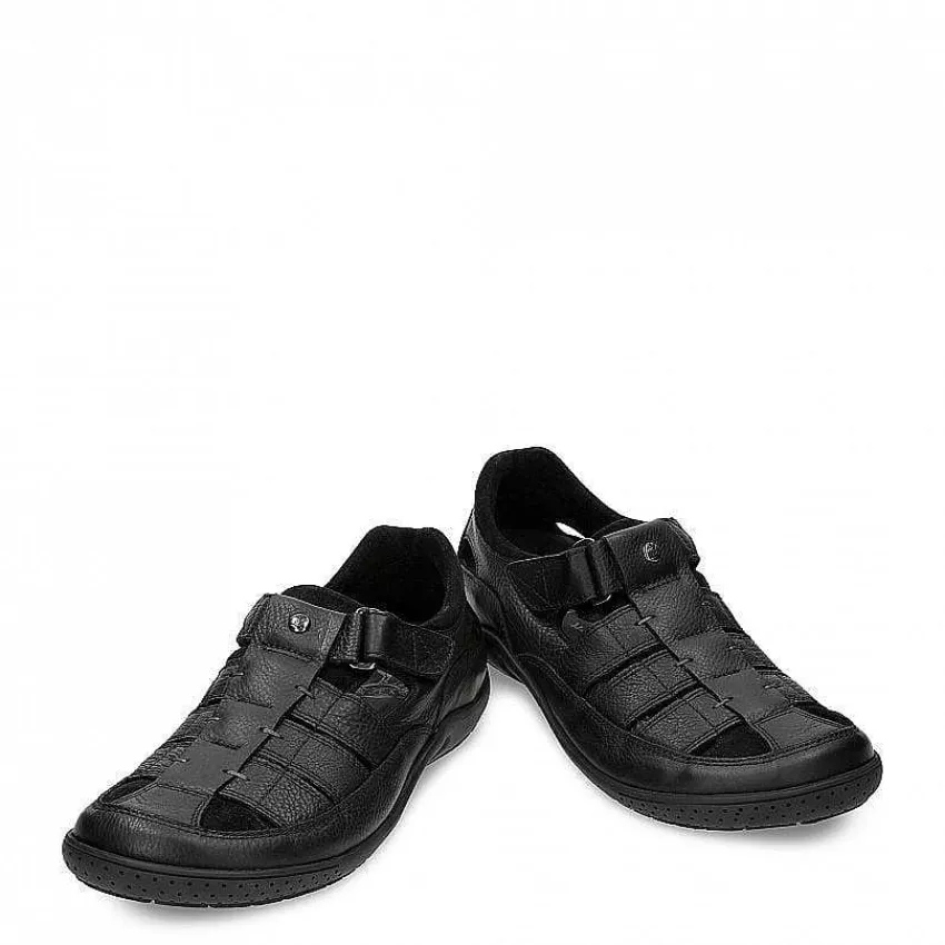 meridian_1-2.webp Meridian^Panama Jack Fashion