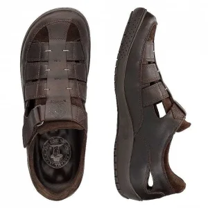 Meridian Basics^Panama Jack Online
