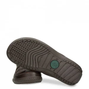 Meridian Basics^Panama Jack Online
