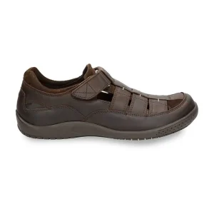 Meridian Basics^Panama Jack Online