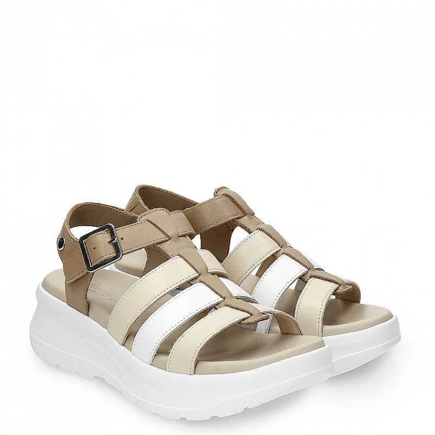 naila_colors_0-1.webp Naila Colors^Panama Jack Outlet
