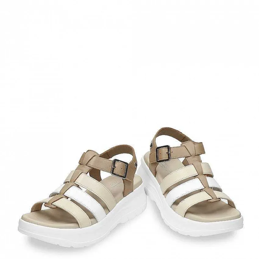 naila_colors_1-1.webp Naila Colors^Panama Jack Outlet