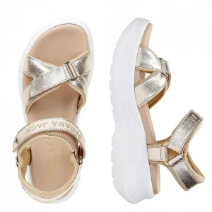 Newel Shine^Panama Jack Online