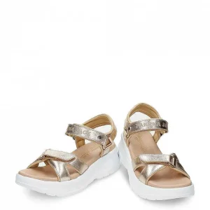 Newel Shine^Panama Jack Online