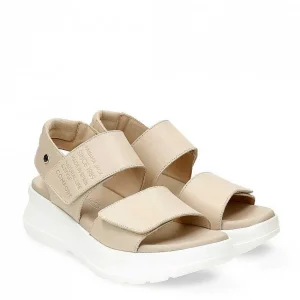 Noah^Panama Jack Store