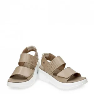 Noah^Panama Jack Cheap
