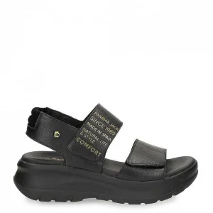 Noah^Panama Jack Best Sale