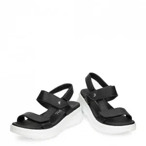 Noor^Panama Jack Flash Sale