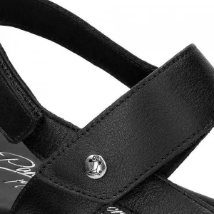Noor^Panama Jack Shop