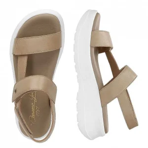 Noor^Panama Jack Sale