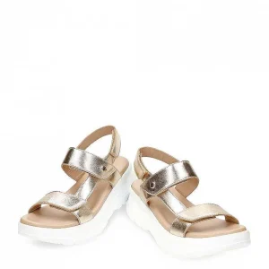 Noor Shine^Panama Jack Discount