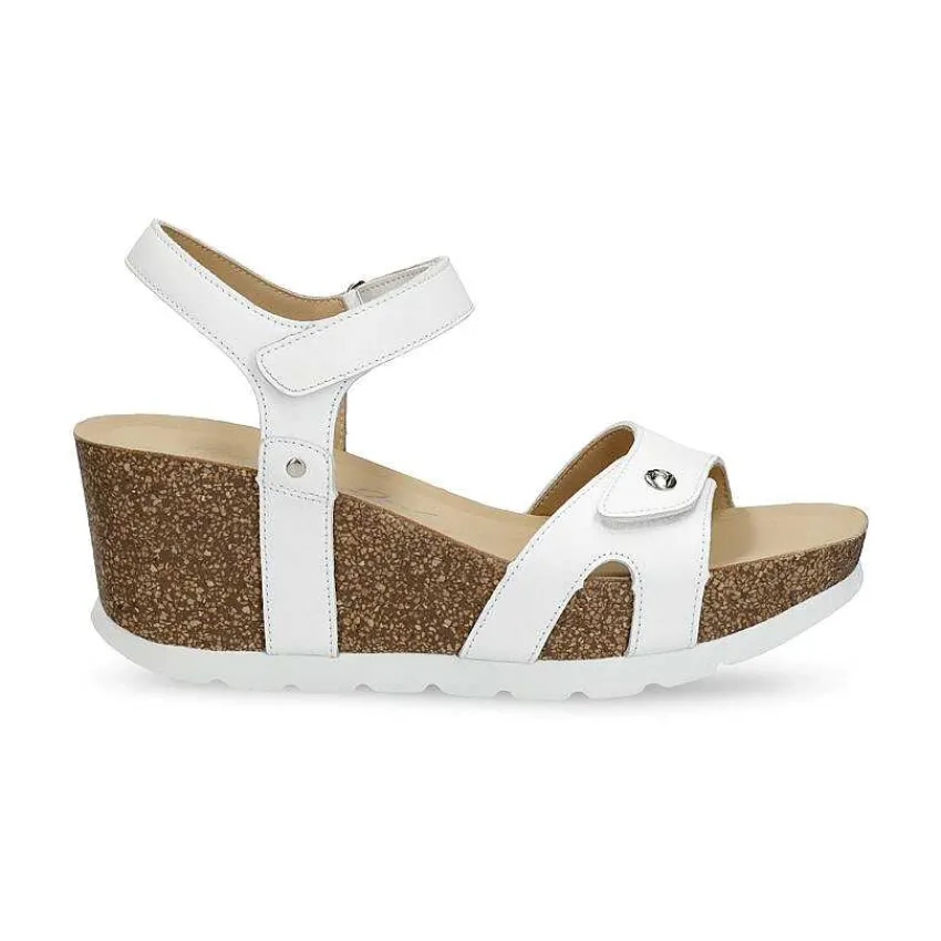 ruth_5-5.webp Ruth^Panama Jack Fashion