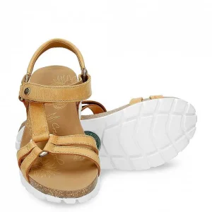 Sally Basics^Panama Jack Best
