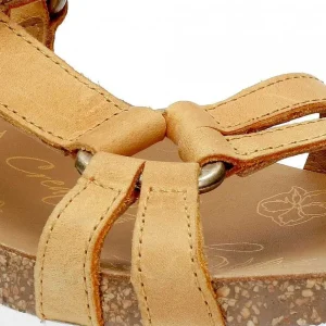 Sally Basics^Panama Jack Best