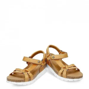Sally Basics^Panama Jack Best