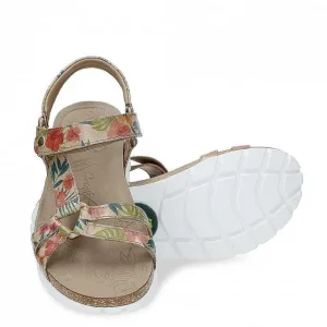 Sally Tropical^Panama Jack New