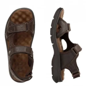 Salton^Panama Jack Best