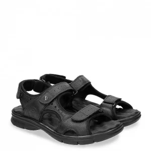 Salton^Panama Jack Fashion
