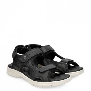 Salton^Panama Jack Flash Sale