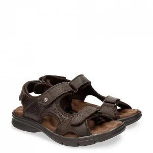 Salton^Panama Jack Fashion