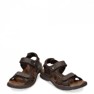 Salton^Panama Jack Fashion