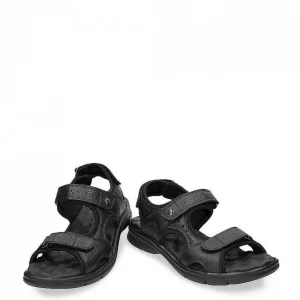 Salton^Panama Jack Best Sale