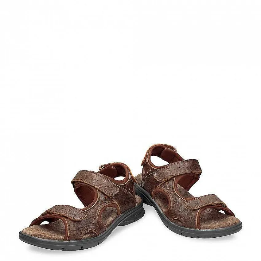 salton_basics_0-1.webp Salton Basics^Panama Jack Best Sale