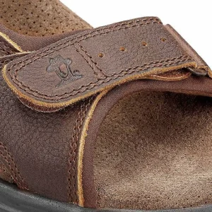Salton Basics^Panama Jack Online