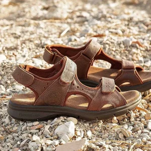 Salton Basics^Panama Jack Online