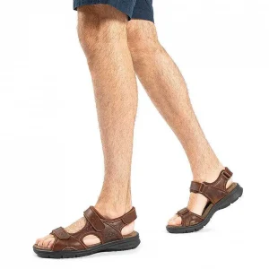 Salton Basics^Panama Jack Online
