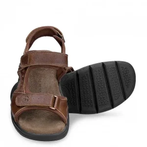 Salton Basics^Panama Jack Best Sale