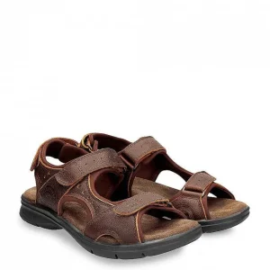 Salton Basics^Panama Jack Online