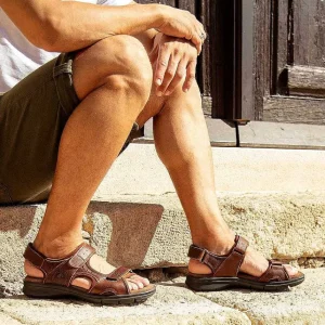 Salton Basics^Panama Jack Online