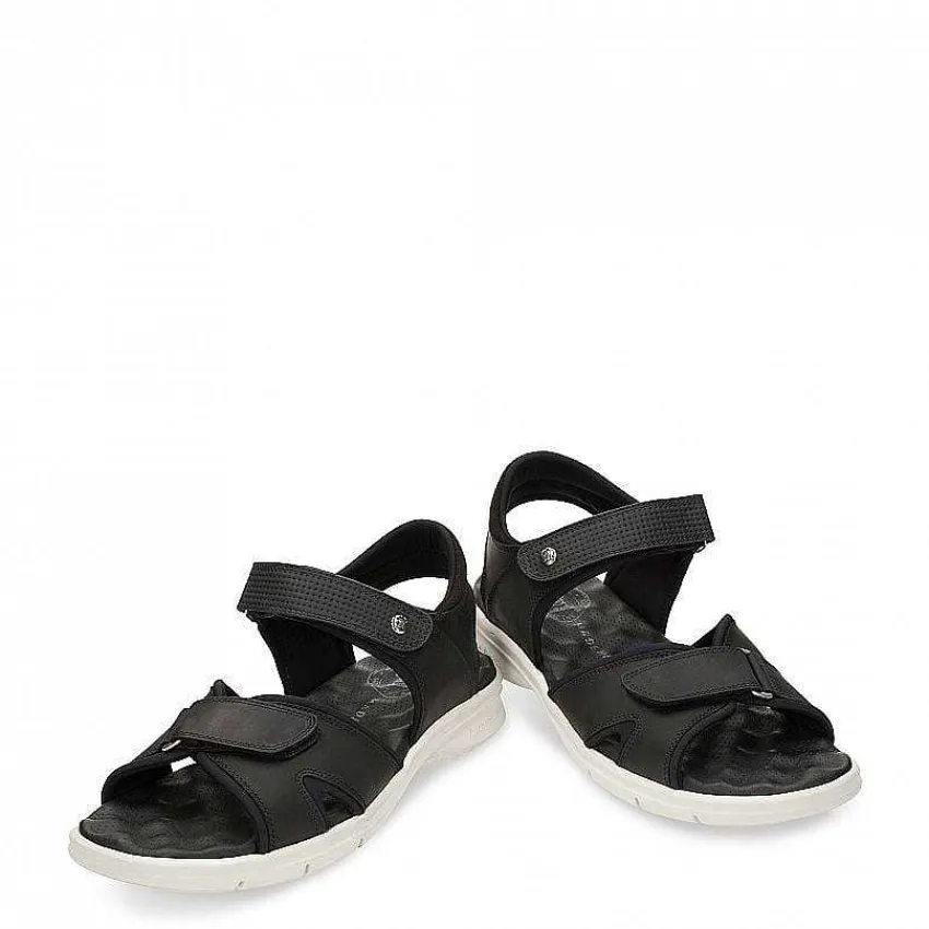 sanders_0-3.webp Sanders^Panama Jack Outlet