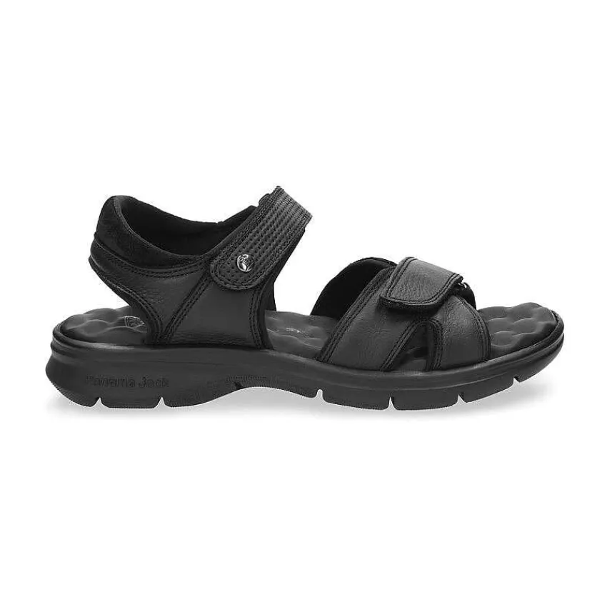 sanders_4-2.webp Sanders^Panama Jack Cheap