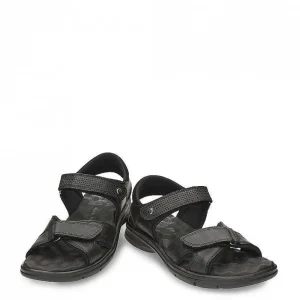 Sanders^Panama Jack Shop