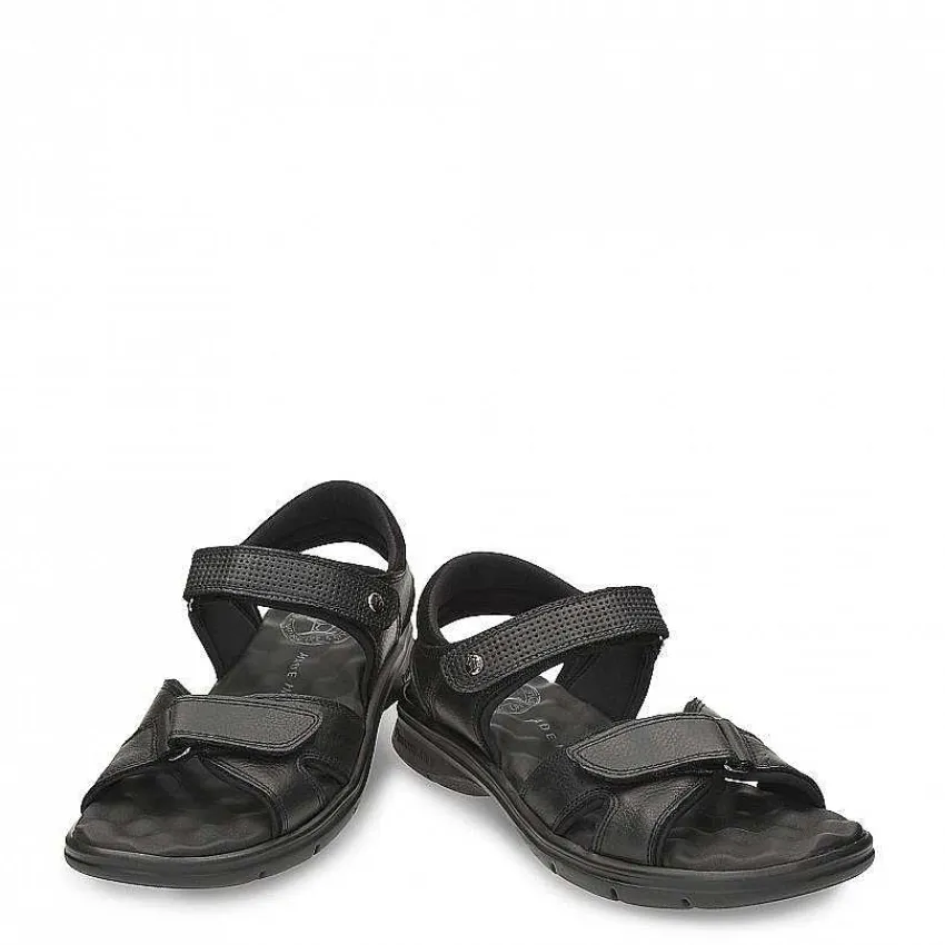 sanders_4.webp Sanders^Panama Jack Shop