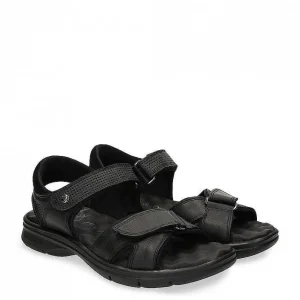 Sanders^Panama Jack Shop