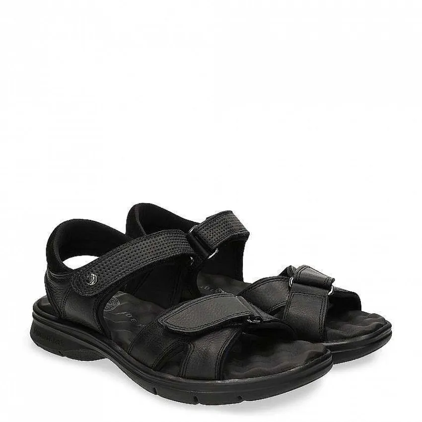 sanders_5.webp Sanders^Panama Jack Shop