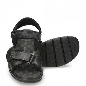 Sanders^Panama Jack Shop