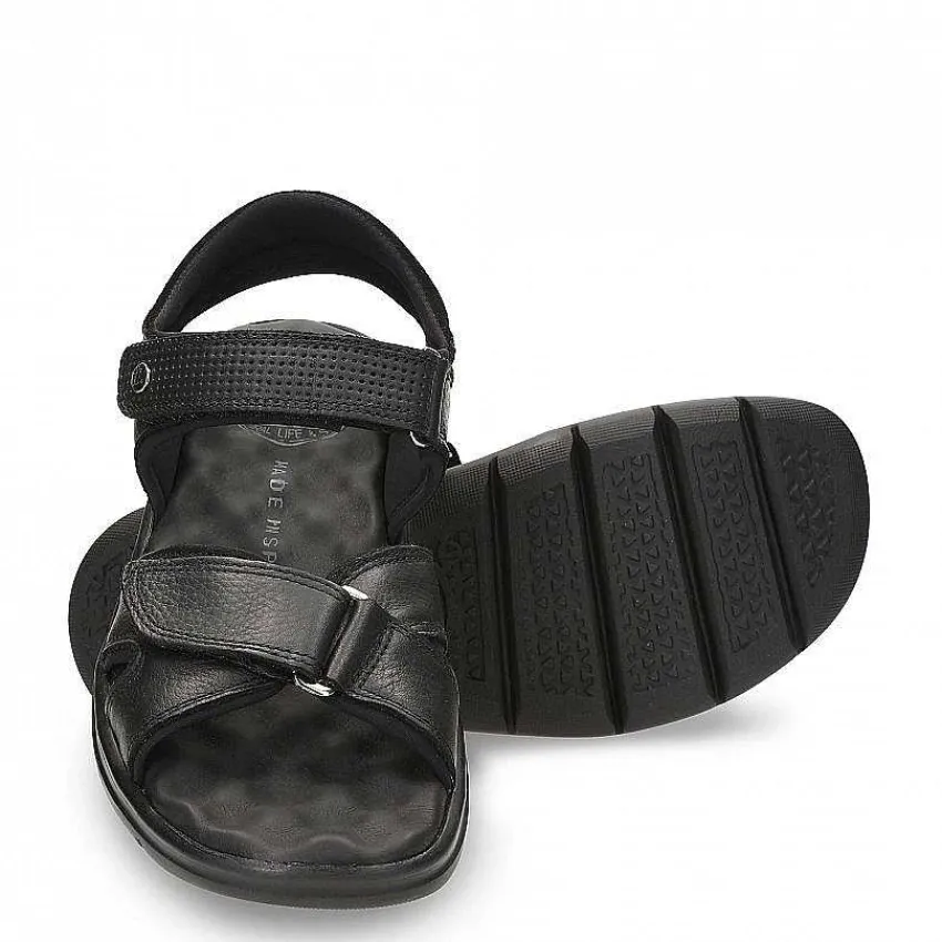 sanders_6.webp Sanders^Panama Jack Shop