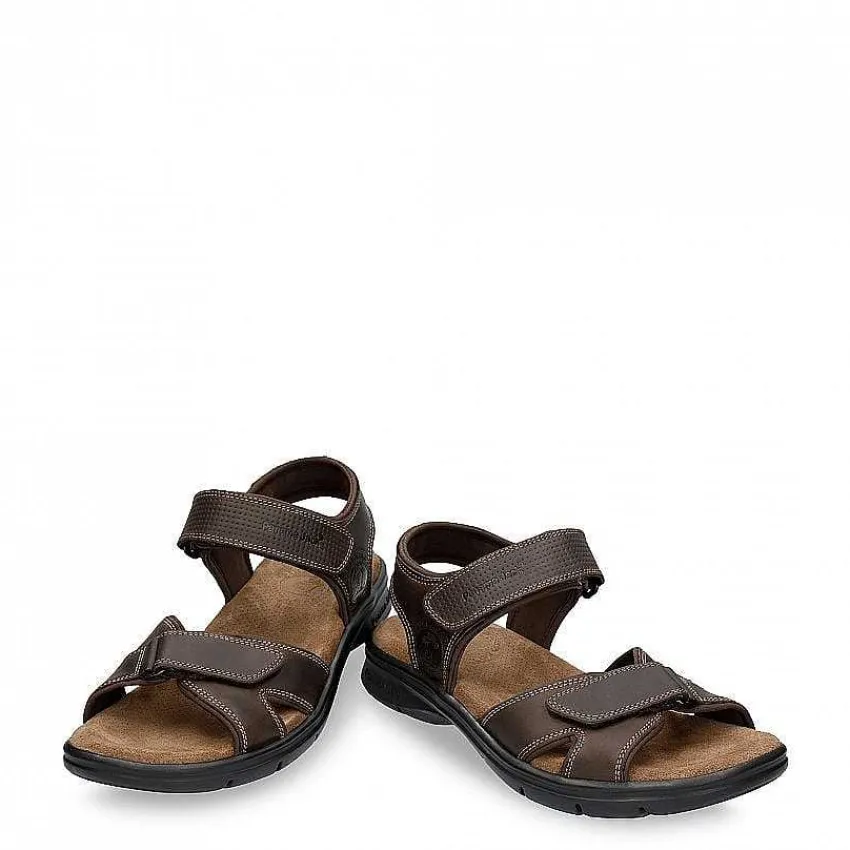 sanders_basics_1-2.webp Sanders Basics^Panama Jack Shop