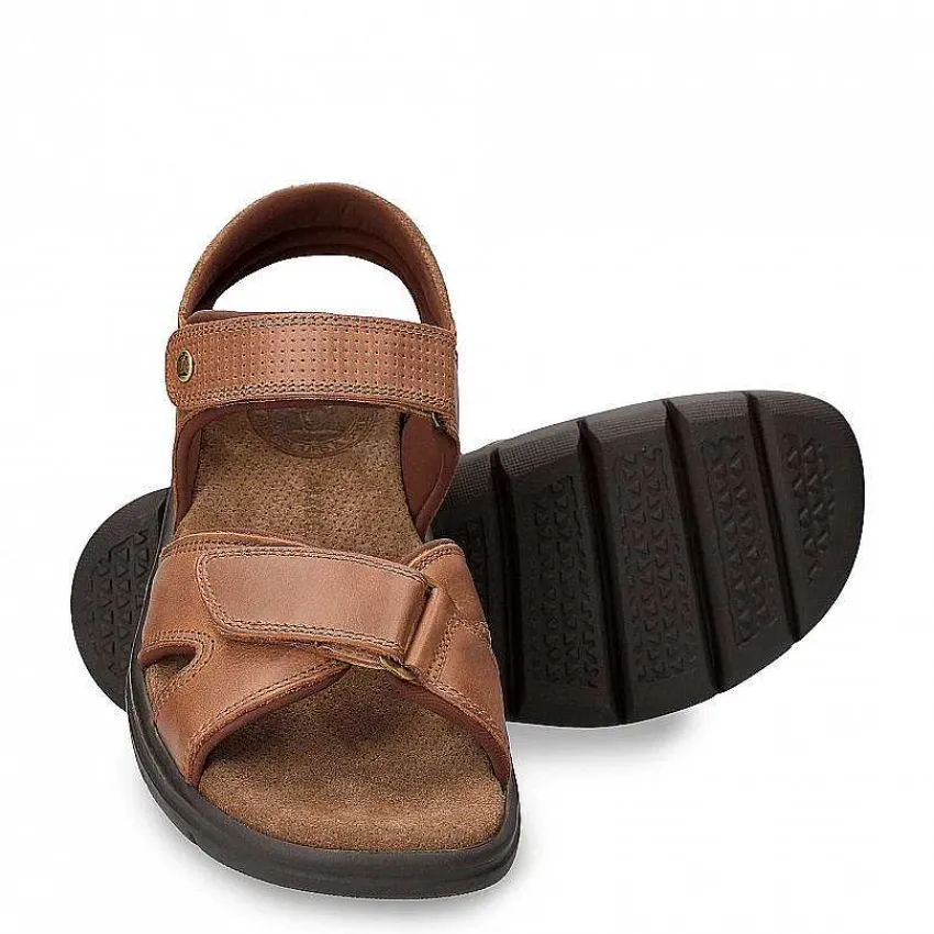 sanders_basics_1-3.webp Sanders Basics^Panama Jack Outlet