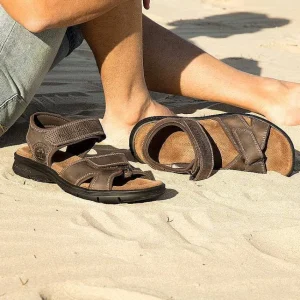 Sanders Basics^Panama Jack Shop