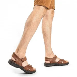 Sanders Basics^Panama Jack Outlet