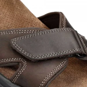 Sanders Basics^Panama Jack Flash Sale