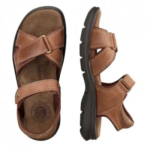 Sanders Basics^Panama Jack Outlet