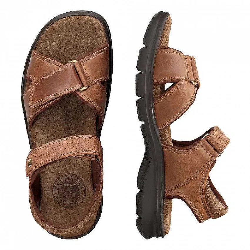 sanders_basics_4-3.webp Sanders Basics^Panama Jack Outlet