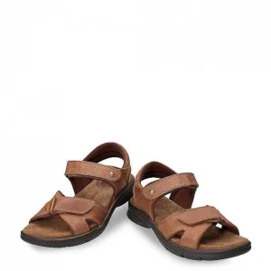 Sanders Basics^Panama Jack Outlet